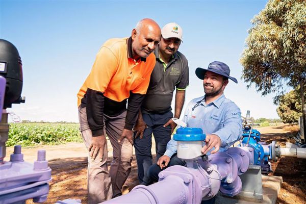 Two men in work shirts watch as an SA Water field worker inspects water from a purple recycled water pipe on agricultural land.